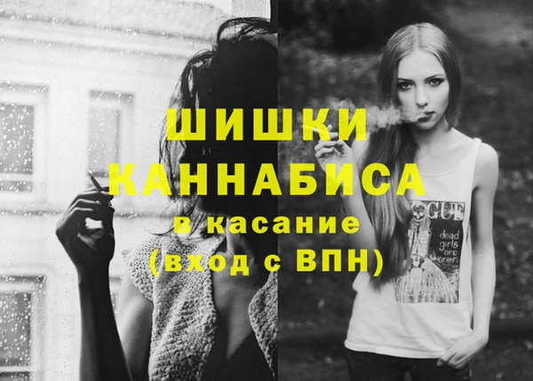 твердый Медногорск